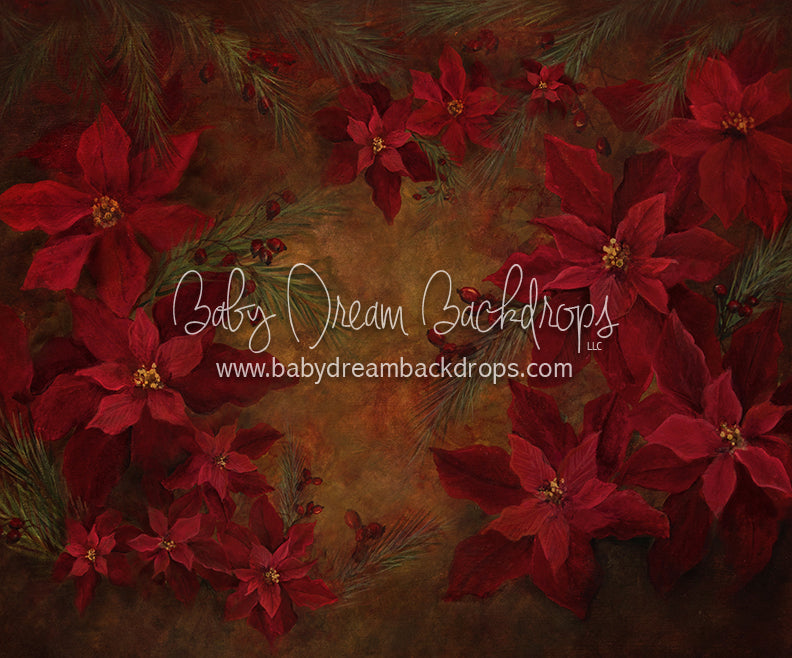 Bitty Heirloom Poinsettia Perfection