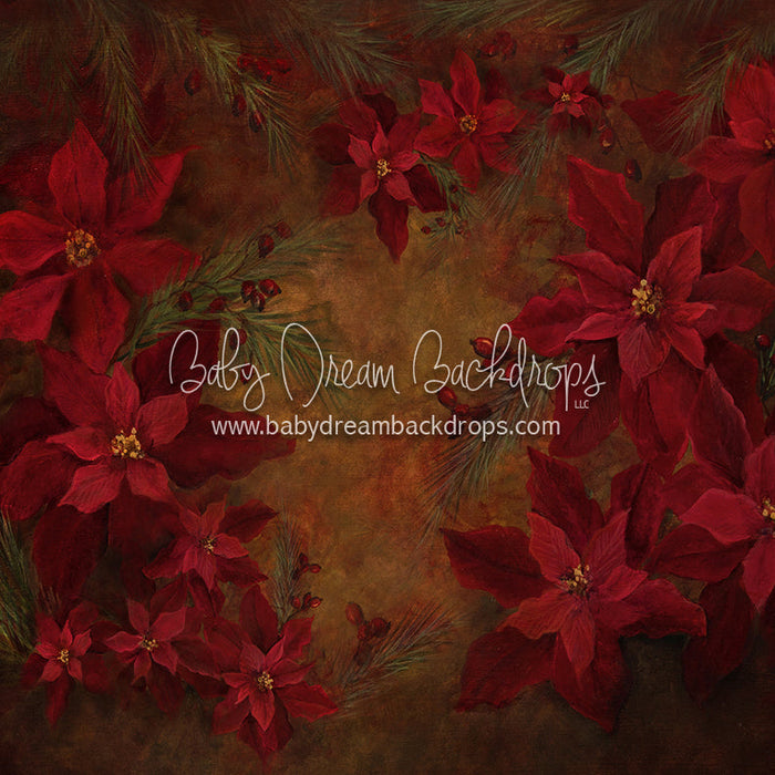 X Drop heirloom poinsettia perfection