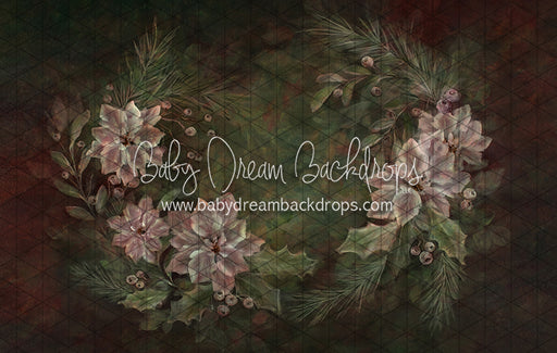 Heirloom Poinsettia Portrait (SS)