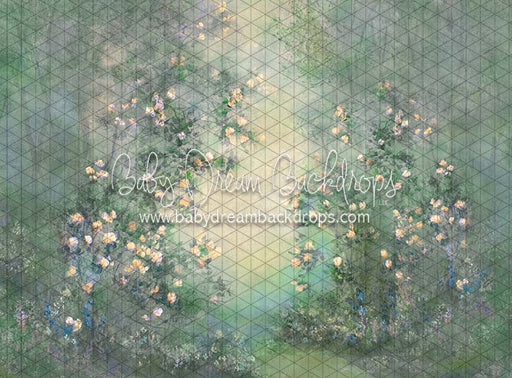 Heirloom Serendipity Cheer (SS)