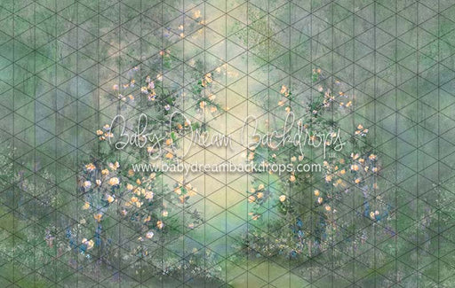 Heirloom Serendipity Cheer (SS)