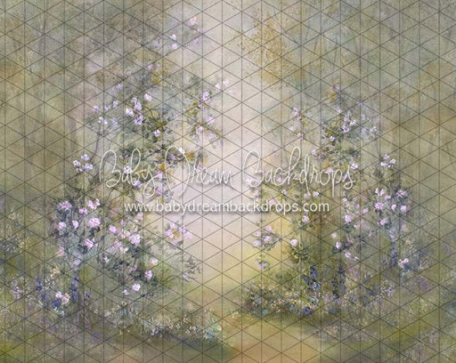 Heirloom Serendipity Spring (SS)