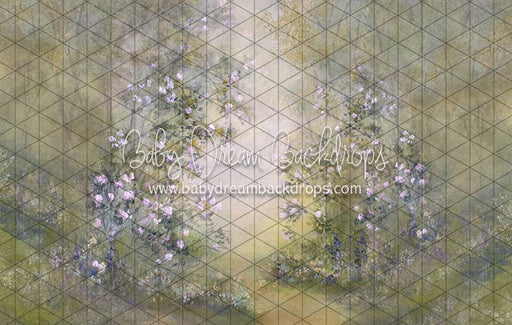 Heirloom Serendipity Spring (SS)