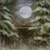 X Drop heirloom snowy pines moon ss