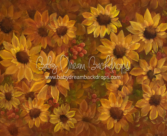Heirloom Sunflower Sensation