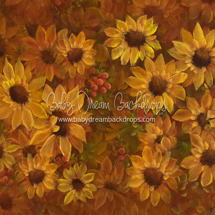 X Drop heirloom sunflower sensation