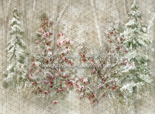 Heirloom Wonders of Winter (SS)