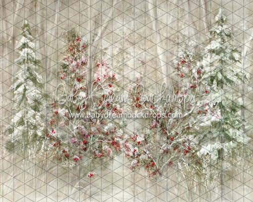 Heirloom Wonders of Winter (SS)