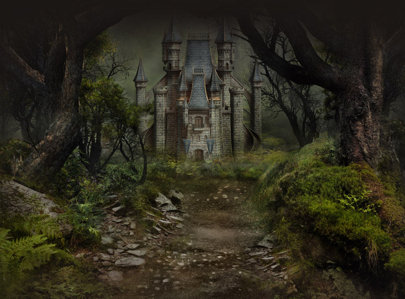 Hidden Castle - 60x80  