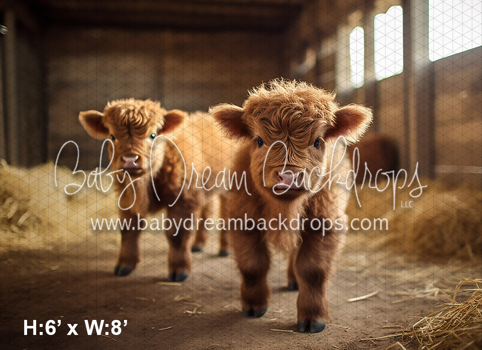 Highland Cow Barn (AZ) — Baby Dream Backdrops - Main Image