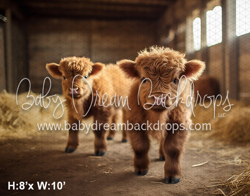 Highland Cow Barn (AZ)