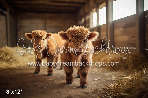 Highland Cow Barn (AZ)