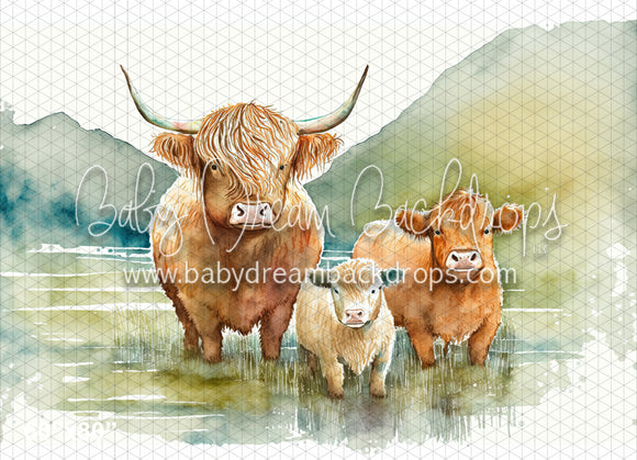 Highland Cow Watercolor (MD)