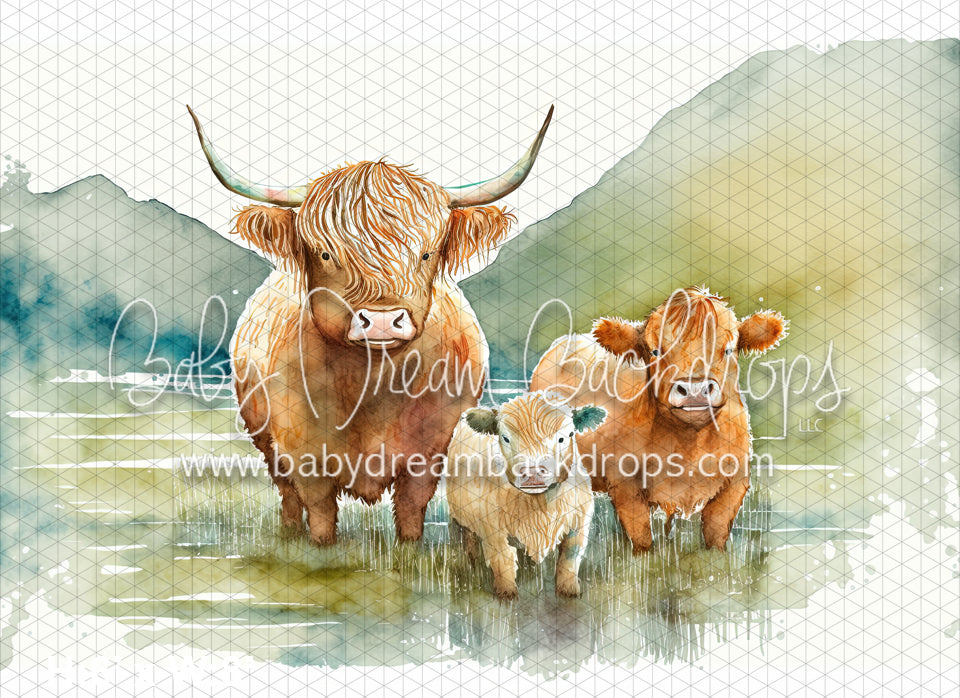 Highland Cow Watercolor (MD)