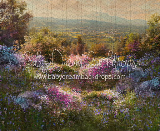 Hill Top Spring (LL)