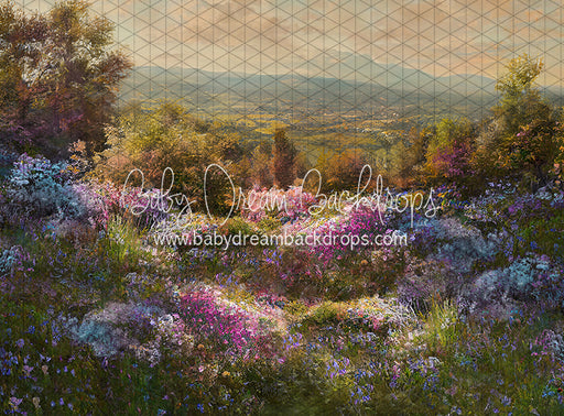 Hill Top Spring (LL)