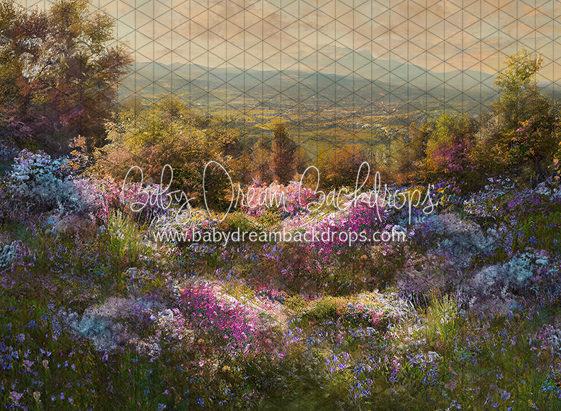 Hill Top Spring (LL)