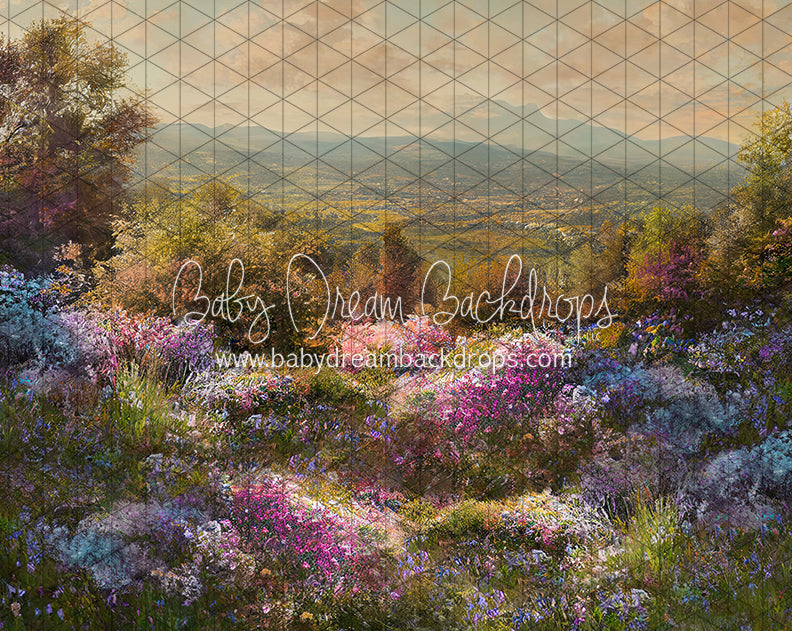 Hill Top Spring (LL)