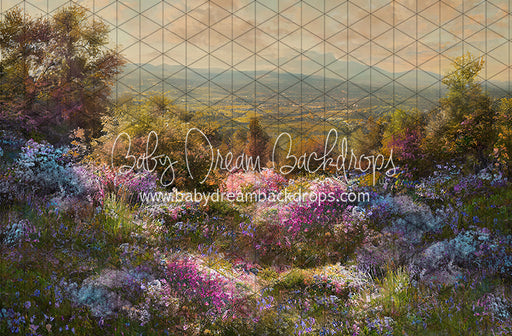 Hill Top Spring (LL)