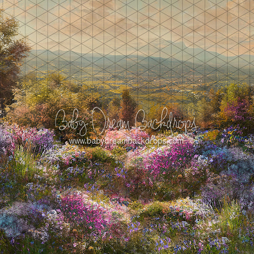 Hill Top Spring (LL)