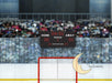 Hockey Fans with Net - 60x80 Horizontal  