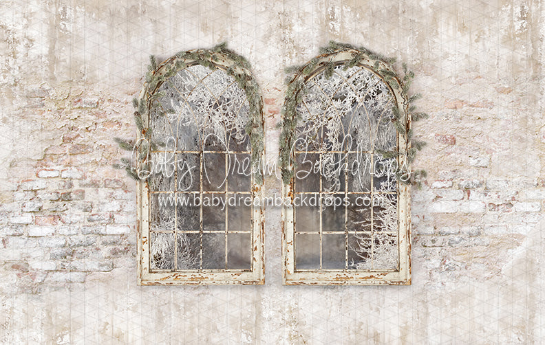 Holiday Dreamer Windows