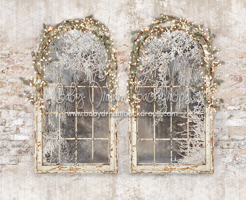 Holiday Dreamer Windows Lights