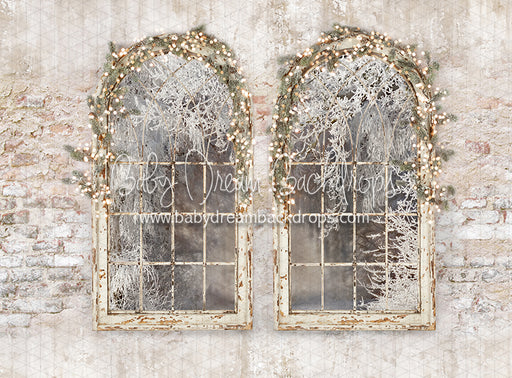 Holiday Dreamer Windows Lights