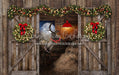 Holiday Ranch Doors Reindeer (JA)