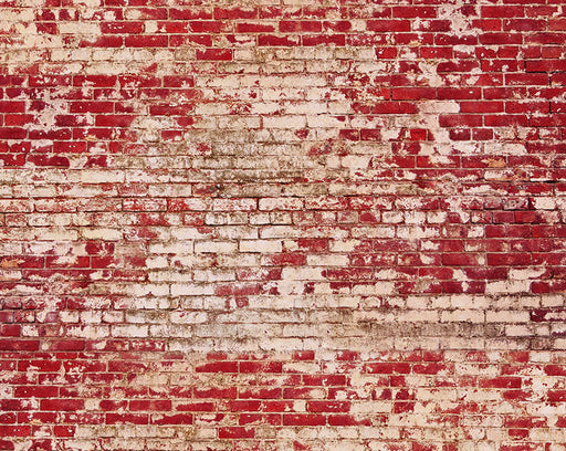 Holiday Brick Backdrop - CC