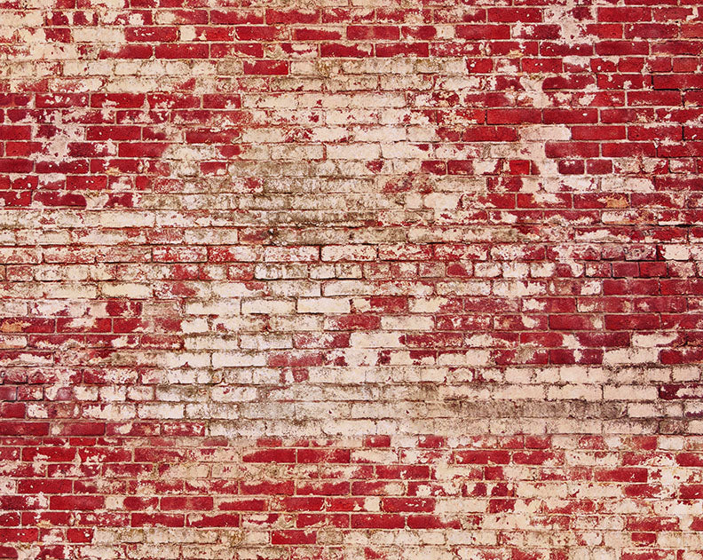 Holiday Brick Backdrop - CC