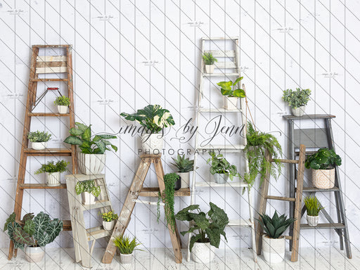 House Plant Workshop (JG)