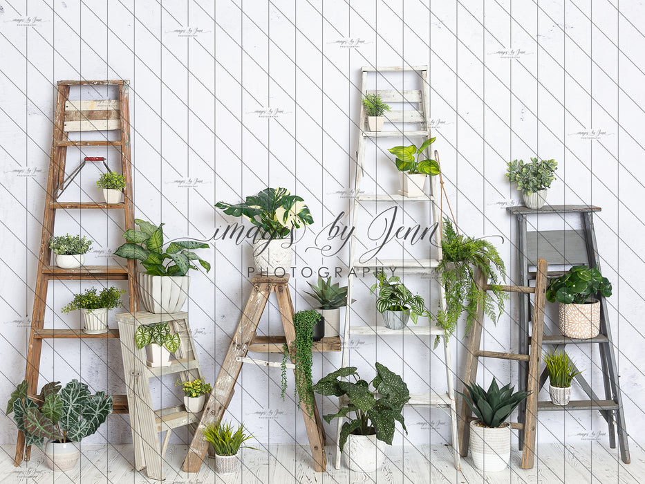 House Plant Workshop (JG)