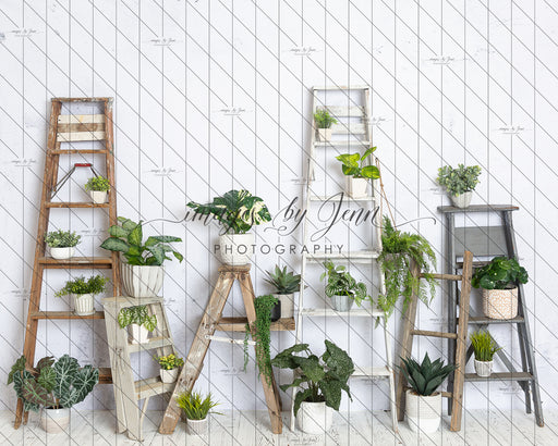 House Plant Workshop (JG)