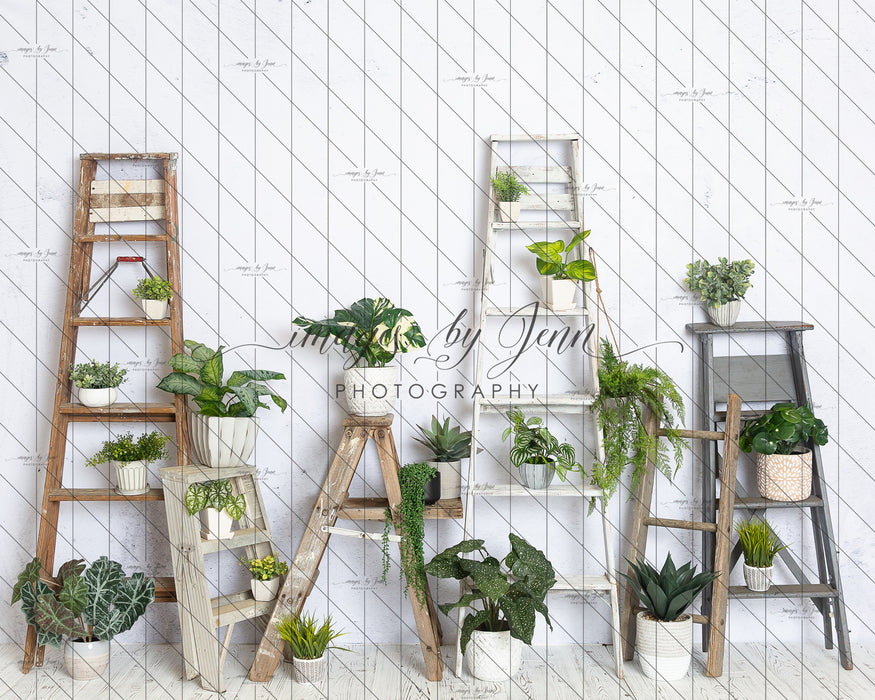 House Plant Workshop (JG)