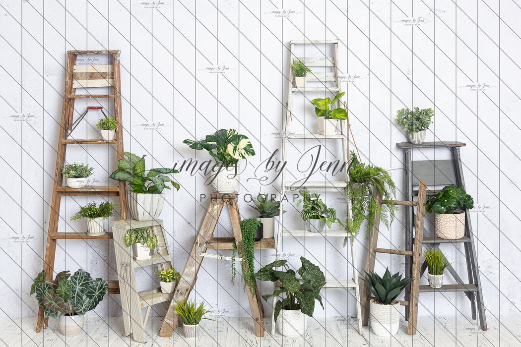 House Plant Workshop (JG)