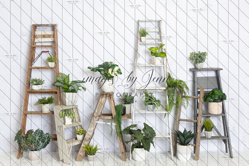 House Plant Workshop (JG)
