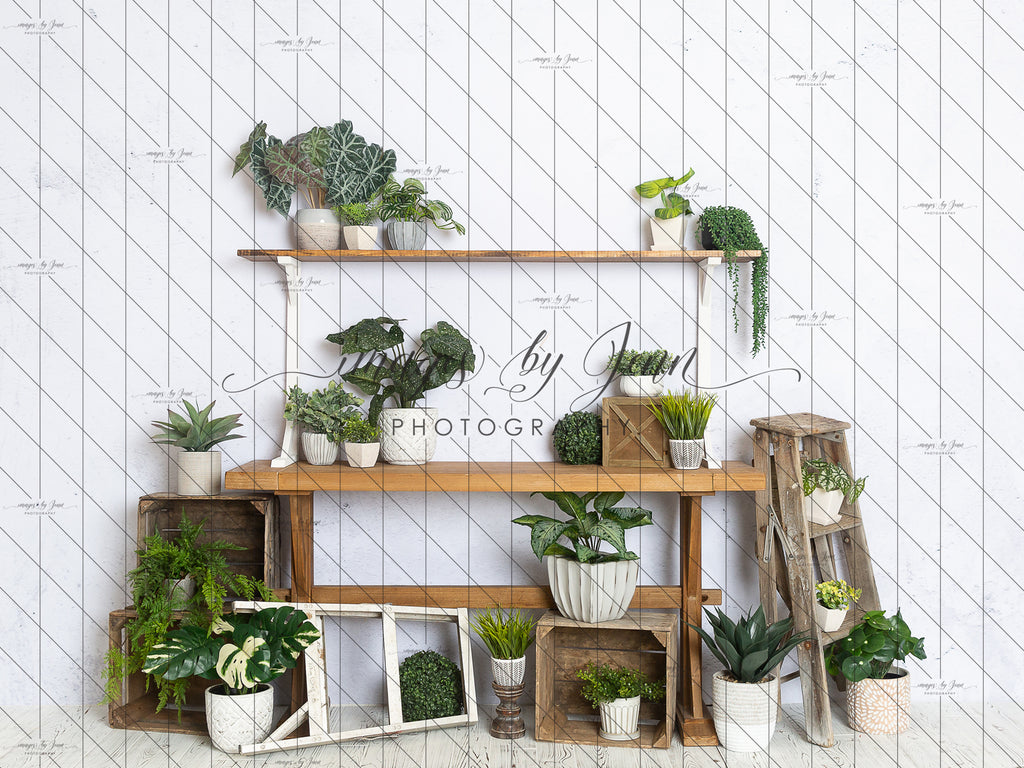 house plant workshop House Plant Workshop Table (JG)
