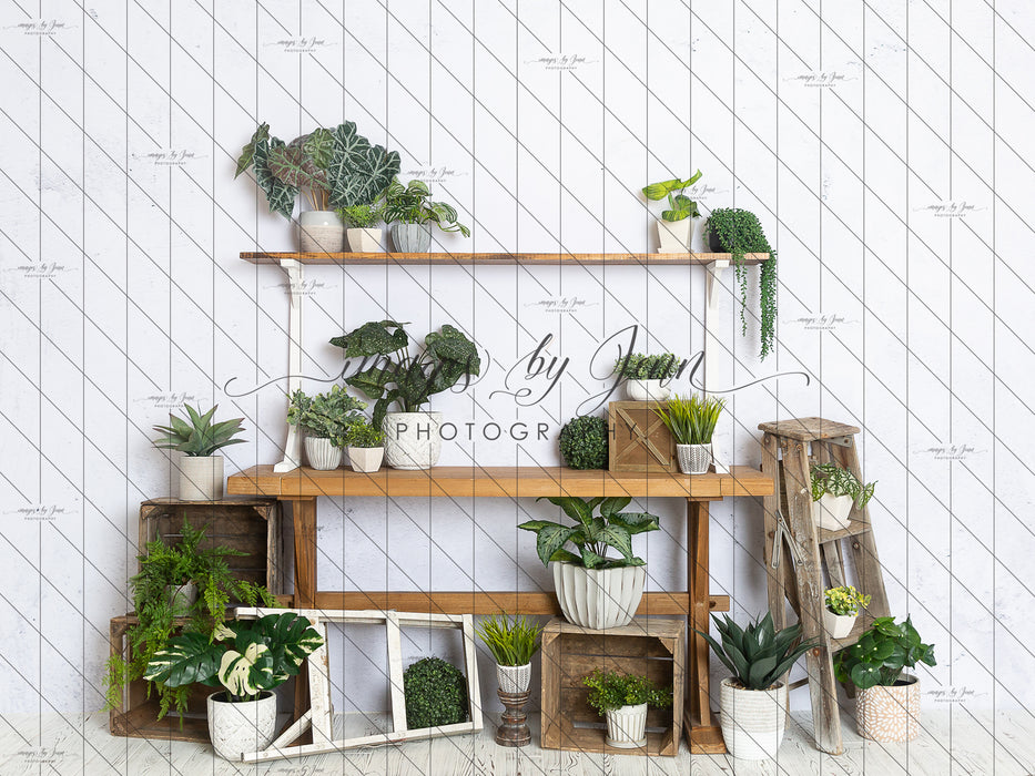 House Plant Workshop Table (JG)