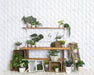 House Plant Workshop Table (JG)