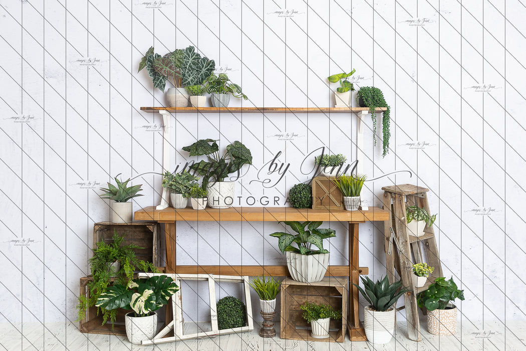 House Plant Workshop Table (JG)