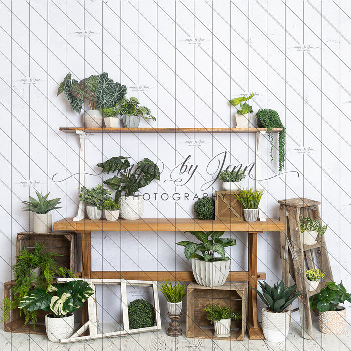House Plant Workshop Table (JG)