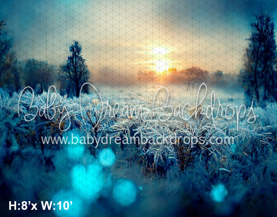 Ice Covered Field (SM)