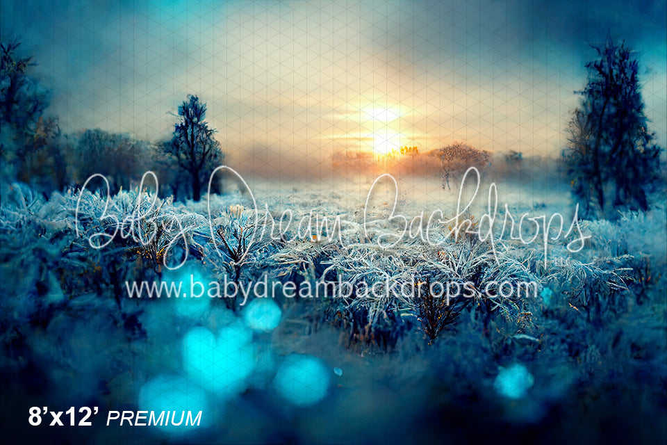 Ice Covered Field (SM)