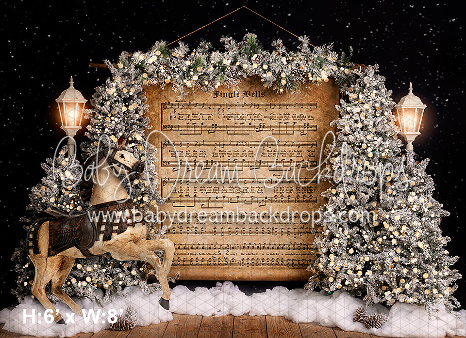 In a one-horse open sleigh (VR)