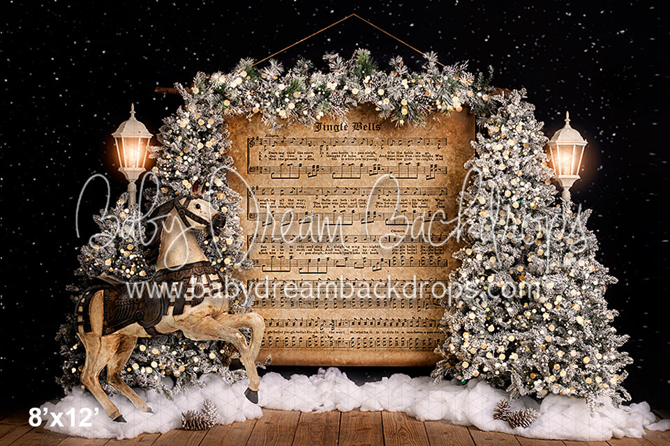 In a one-horse open sleigh (VR)