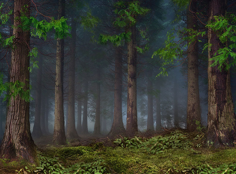 In the Wild - 60x80 Long  