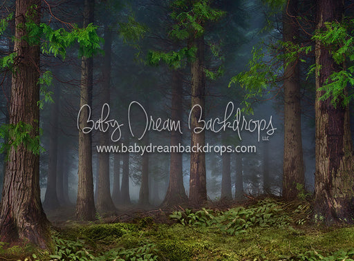 In the Wild - 6x8 - CC  