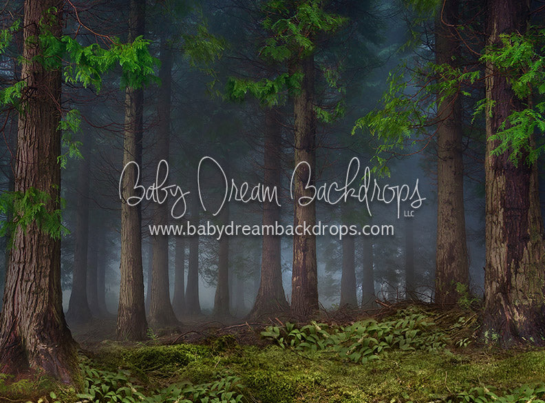 In the Wild - 6x8 - CC  