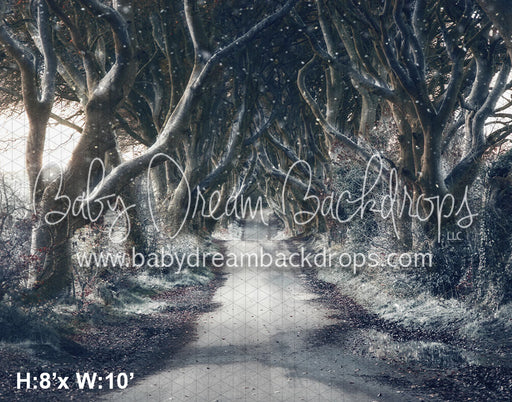 Ireland Hedges Snow